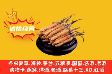 二道江区回收冬虫夏草